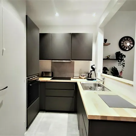 Superbe T2 Au Coeur D'aix-les-bains Avec Wifi - Fr-1-555-47