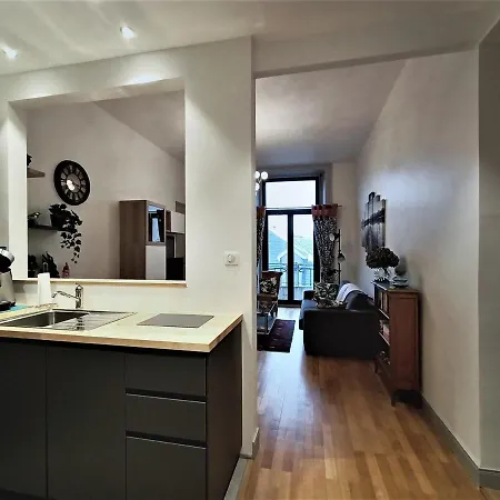 Апартаменты Superbe T2 Au Coeur D'aix-les-bains Avec Wifi - Fr-1-555-47