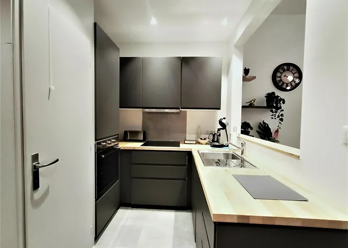 Superbe T2 Au Coeur D'aix-les-bains Avec Wifi - Fr-1-555-47