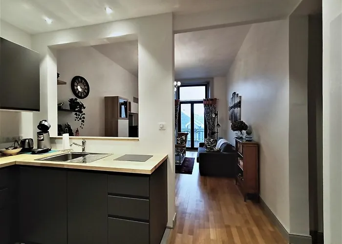 Apartment Superbe T2 Au Coeur D'aix-les-bains Avec Wifi - Fr-1-555-47